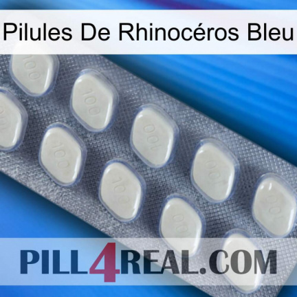 Pilules De Rhinocéros Bleu 08